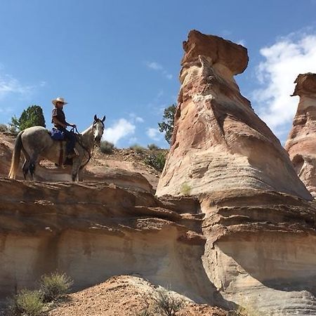 מלון ביג ווטר Paria River Ranch מראה חיצוני תמונה