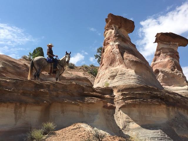 מלון ביג ווטר Paria River Ranch מראה חיצוני תמונה